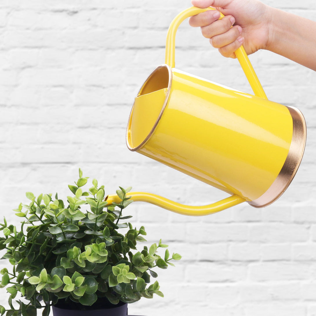 BonKaso 1.5 Litre Metal Watering Can