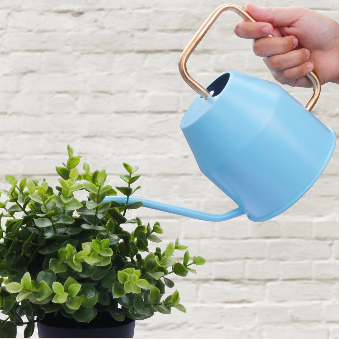 BonKaso 1 Litre Metal Watering Can Pot (Green)