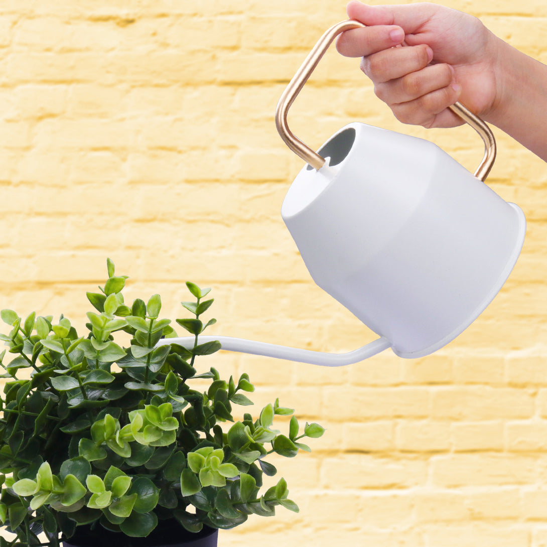 BonKaso 1 Litre Metal Watering Can Pot (Green)