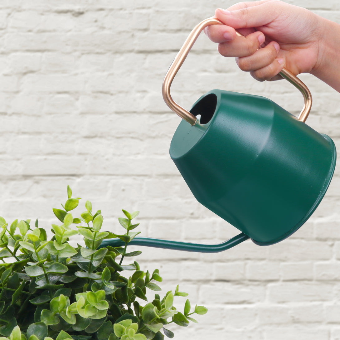 BonKaso 1 Litre Metal Watering Can Pot (Green)